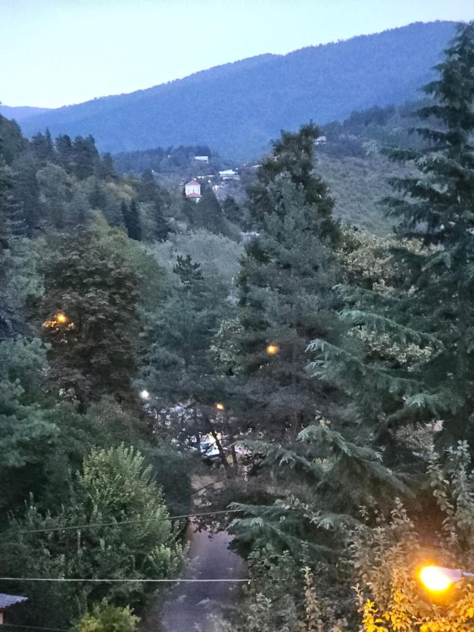 Guest House Likani 2017 Borjomi Habitación foto