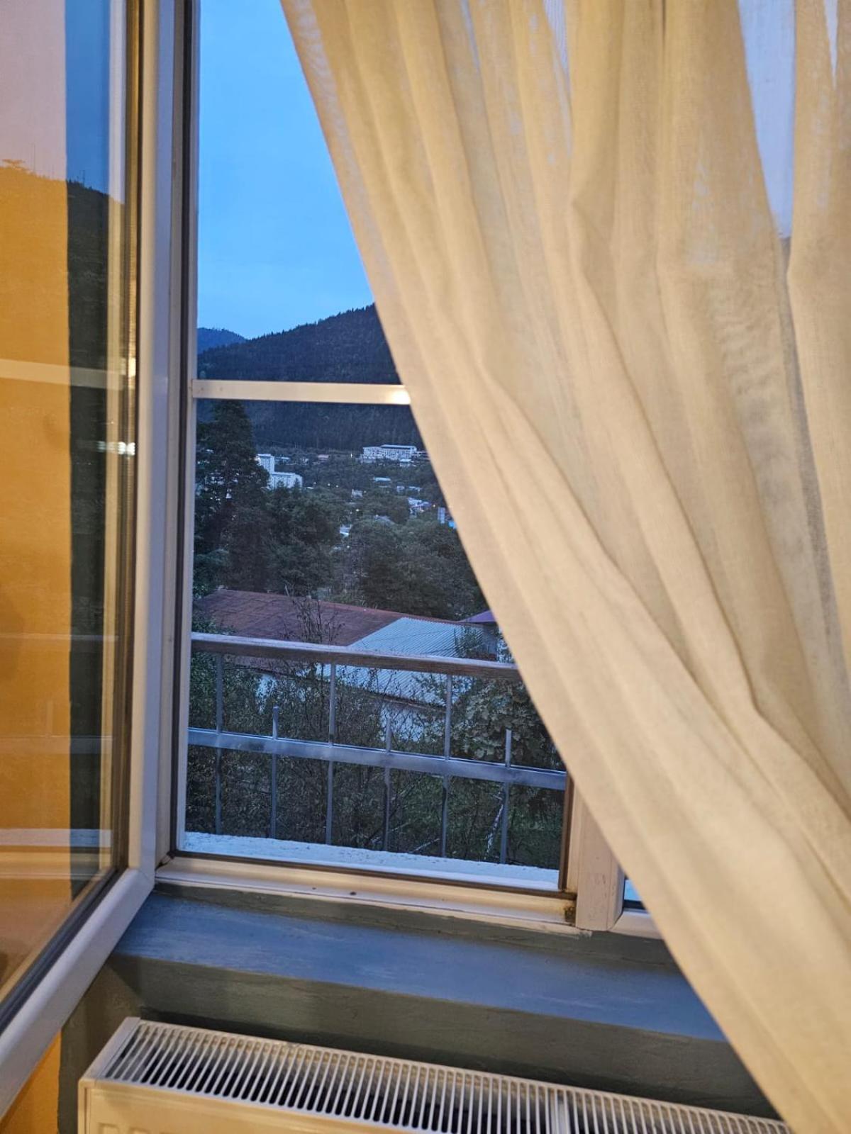 Guest House Likani 2017 Borjomi Habitación foto