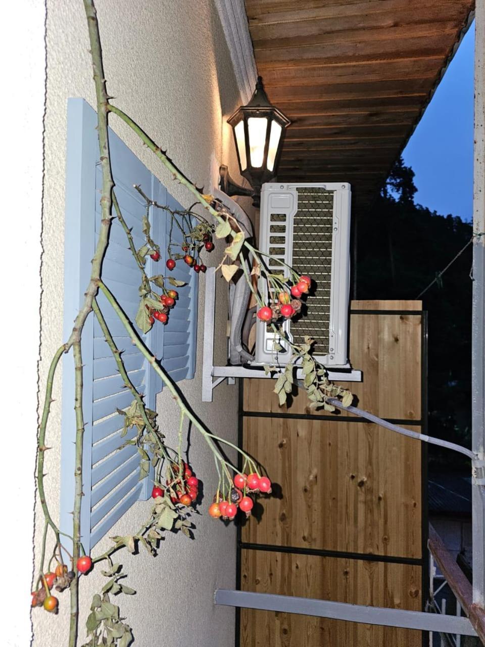 Guest House Likani 2017 Borjomi Habitación foto