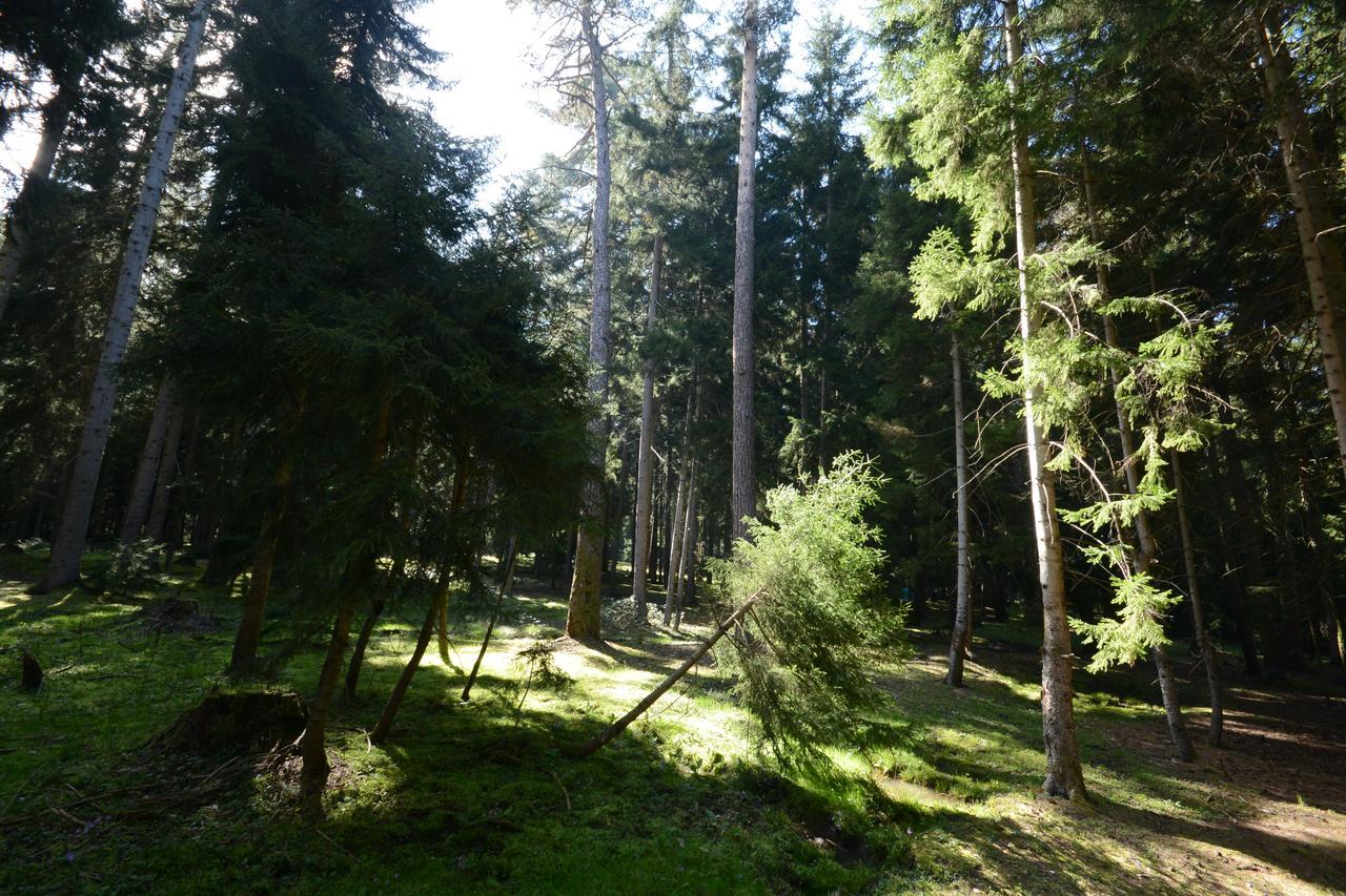 Guest House Likani 2017 Borjomi Exterior foto